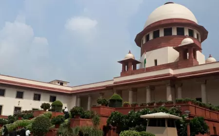 'So many people will be in jail before the elections...', Supreme Court said a big thing while granting bail to YouTuber