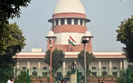 Supreme Court's Navlakha bluntly, security expenses will have to be paid during house arrest