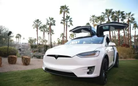 Two-year-old child starts Model X, EV climbs on mother, woman files suit against Tesla