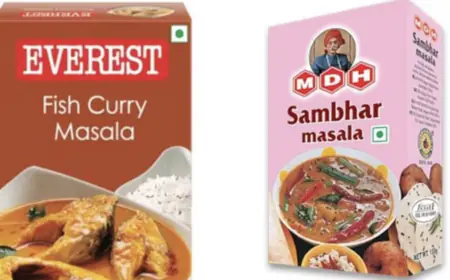 India seeks information on masala dispute from Singapore, Hong Kong, instructions to send report to embassies