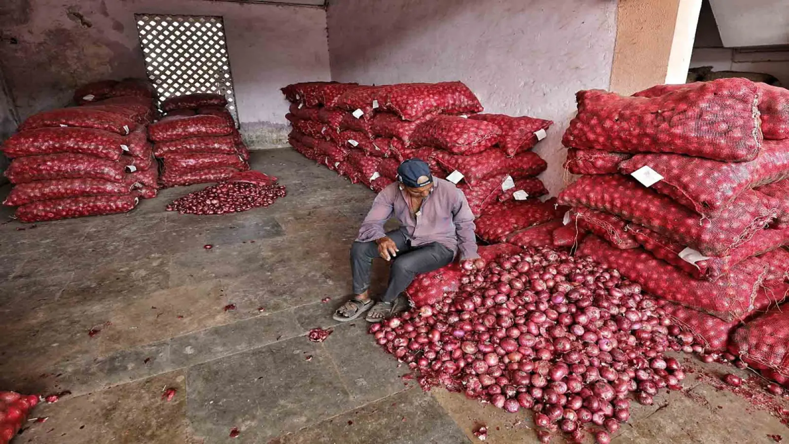 Government tightens its belt to stop prices from rising, starts purchasing five lakh tonnes of onion for buffer stock