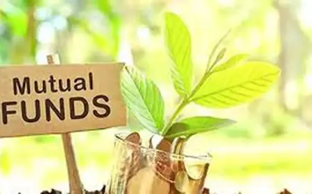 Record investment of Rs 20,371 crore through SIP, 16% decline in equity mutual funds