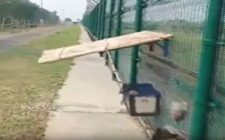 CAPF created 'Beehive Model' to stop infiltration on the border, know how it works