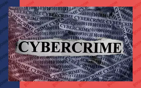 Complaints in lakhs of cyber fraud cases but arrests are less than one percent, know the reason