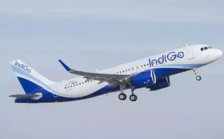 IndiGo is in talks with Airbus and ATR-Embraer and plans to purchase 100 small aircraft
