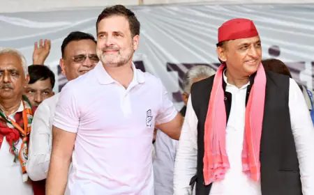 General Election Results 2024: Muslim-Dalit voters gave a lifeline to Congress, the party stood again in UP