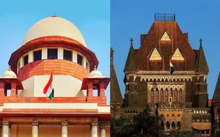 If you make videos while driving, then now a hefty fine will be imposed in this state, High Court has given orders