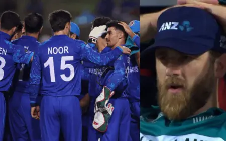 Afghanistan beat PNG by seven wickets to make it to the Super 8, New Zealand out of T20 World Cup