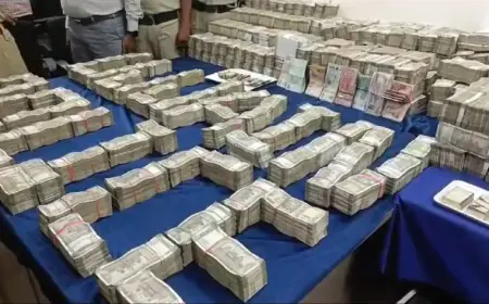 Big betting racket exposed in T20 World Cup 2024, so much cash found that counting kept on machine till morning