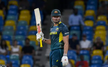 Marcus Stoinis won the world's number one all-rounder by creating a blast with the ball and bat in T20 World Cup 2024; Bumrah is also out of the top 60