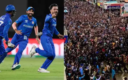 T-20 World Cup 2024: India won the World Cup after 13 years, fireworks took place with great pomp in Chhattisgarh