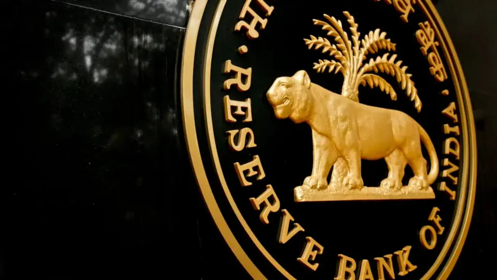 RBI's Financial Inclusion Index increased by 64.2% in March 2024