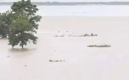 Flood situation in Nagaon, Assam is serious, about 30,000 people affected; PM Modi assured help