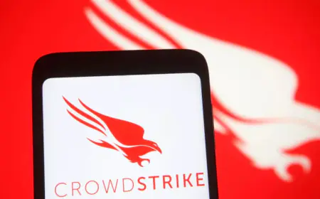 Government alert: You can be cheated in the name of CrowdStrike, do not make such a mistake