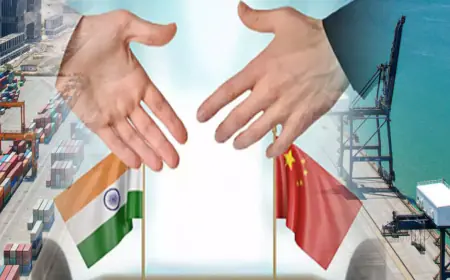 'Instead of importing, Chinese companies should invest in India', Niti Aayog member Virmani suggested