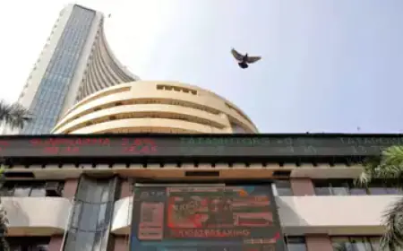 Stock market at new heights; Sensex climbed 300 points, Nifty touched 25250