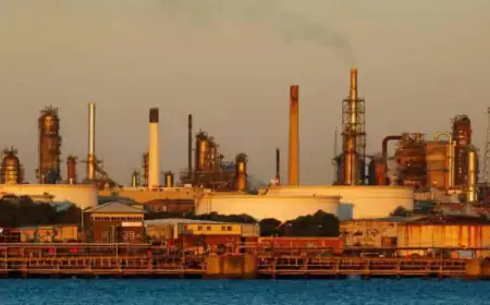 Growth rate of eight core industries slowed to 6.1 percent, CEA said - speed slowed due to elections