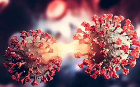 India should be prepared for another wave of Covid, experts expressed concern; WHO said - MPox will end soon