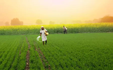 Central government's big plan for Naxal-affected areas will enhance farmers' income and minimise their reliance on foreign nations