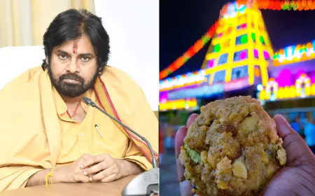 TTD said - Tirupati's laddu is now completely pure; Pawan Kalyan will do 11 days of penance