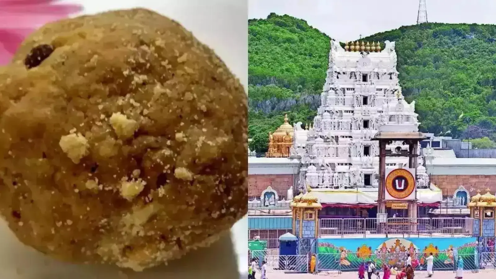 SIT investigation is stopped on 'adulterated ghee' in Tirupati laddu, this reason came to light