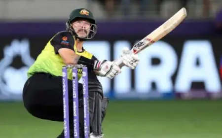 Matthew Wade made Australia a champion like this despite being color-blind, fighting testicular cancer, and a lot more 