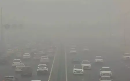 Demand for BS-VI and CNG cars increased in Delhi's weddings due to pollution crisis 