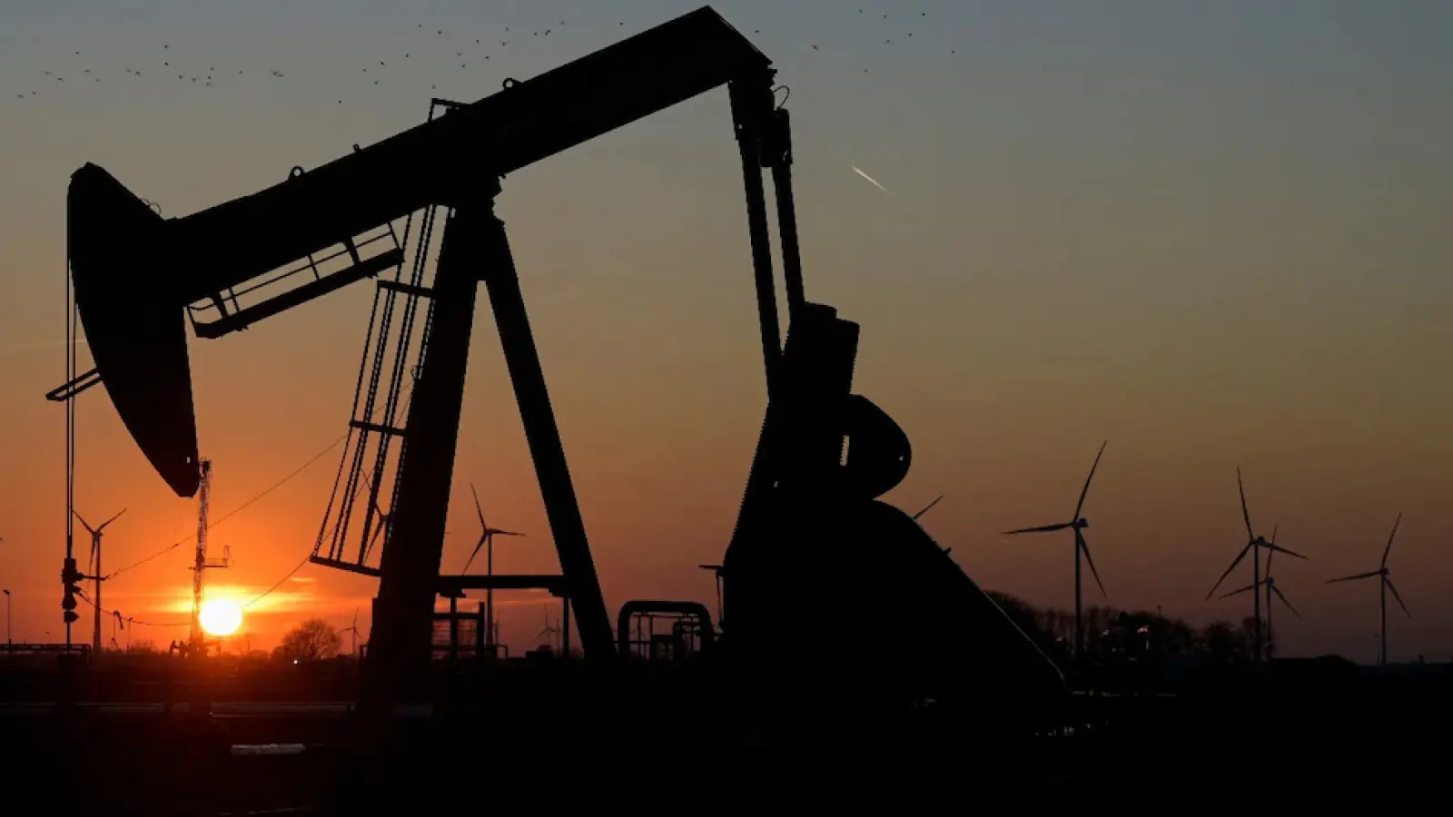 Government removes unexpected tax on petrol and diesel exports, know the details