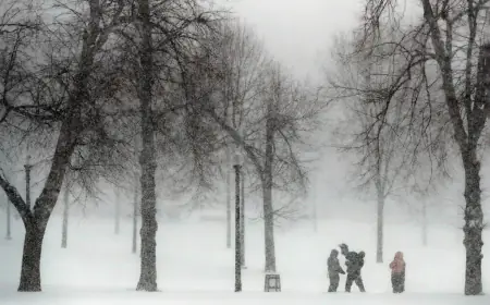 La Nina will show its effect and cause heavy snowfall leading to bone-chilling cold