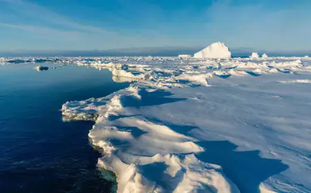 Scientists alert: All the ice in the Arctic will melt by 2027, strict action will have to be taken to save it