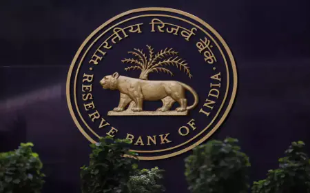 India's Balance of Payments Could Return to Surplus as RBI, Government Boost Foreign Inflows: HDFC MF