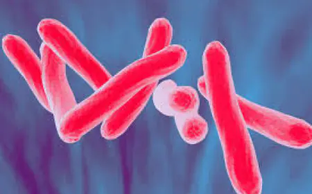 MPs will join the fight against TB, and organize Nikshay camps before the budget session; agenda ready