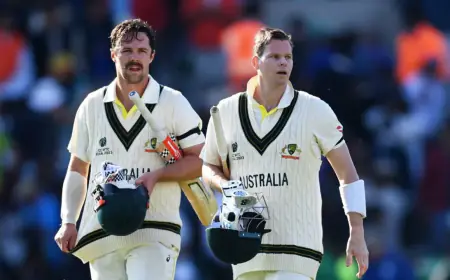 Big Bash League 2024-25: Travis Head, Pat Cummins and Starc out, Smith and Labuschagne allowed to play BBL