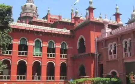 Madras High Court's big statement, 'Unwanted behavior with women in the office is also sexual harassment'