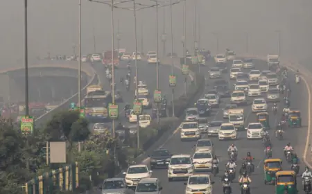 CAG report reveals serious flaws in Delhi's vehicular pollution