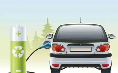 Delhi: If the vehicle does not have a coloured label indicating the type of fuel, a challan of Rs 5,000 will be deducted