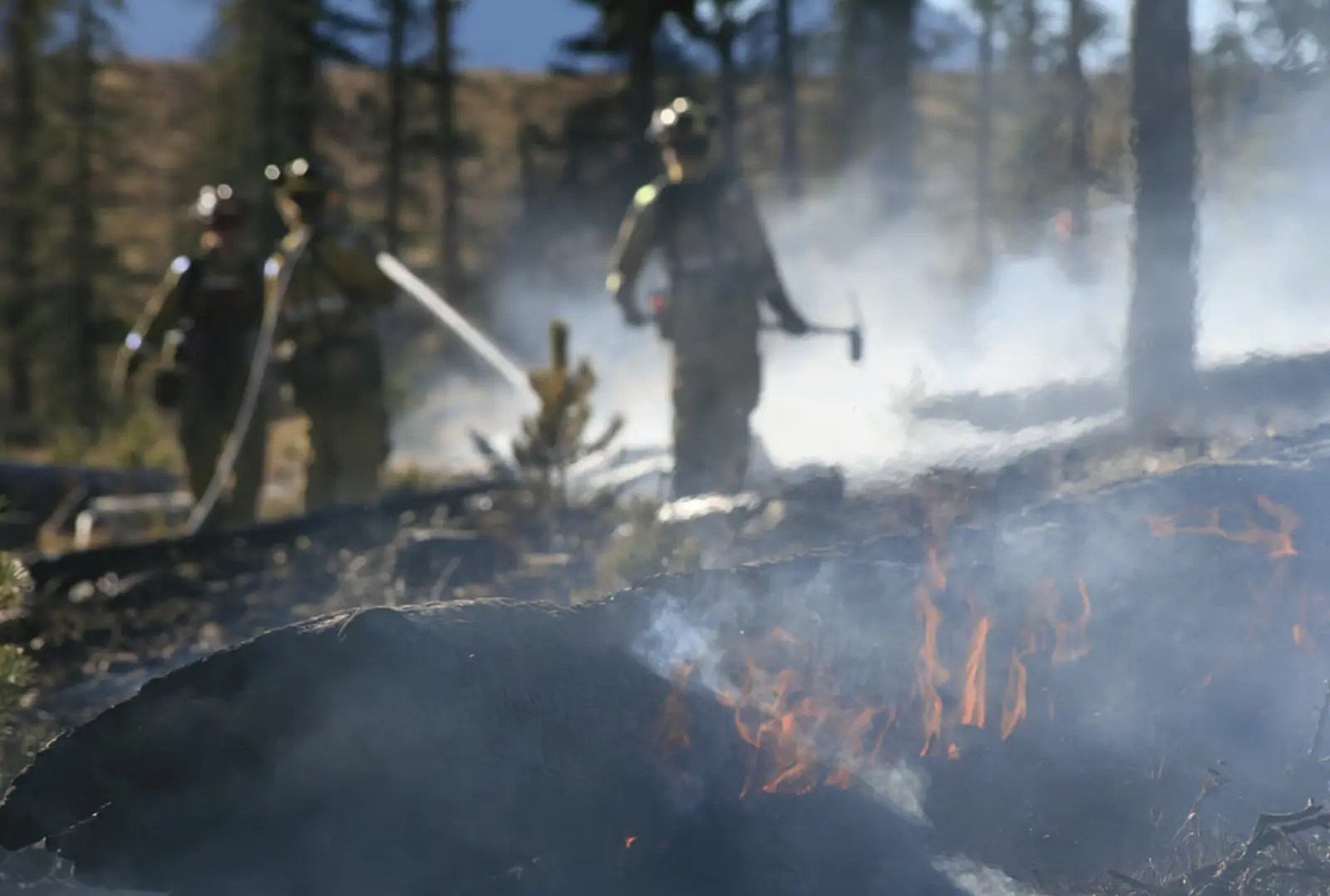 Natural disasters pose a challenge for the insurance industry, losses may reach $145 billion in 2025