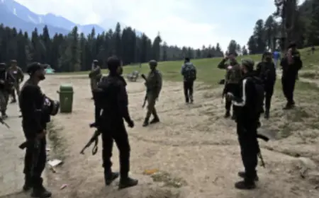 Vivo T3 Ultra price reduced again in India, gets AMOLED display and 50MP camera; Know the new price