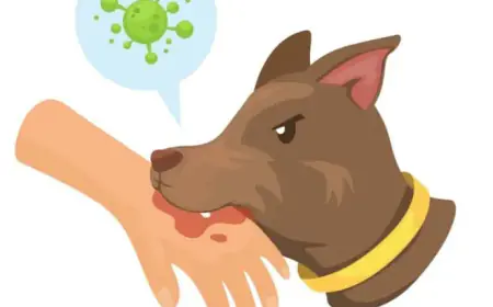 Recovery agent beaten by house owner and got bitten by dog when went to collect credit card installment at wrong address