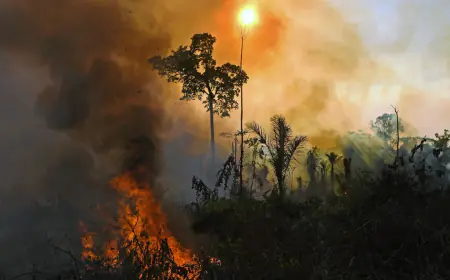 Many giant 'attackers' are hidden behind the Sun, scientists warned - they can wreak havoc in many cities