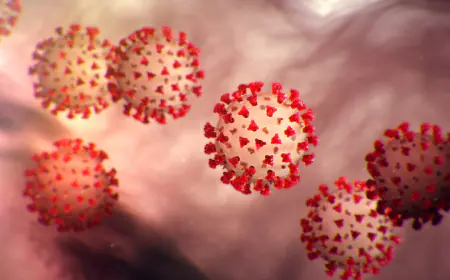 Covid-19 graph rising in Karnataka, 42 new cases registered, infected elderly dies