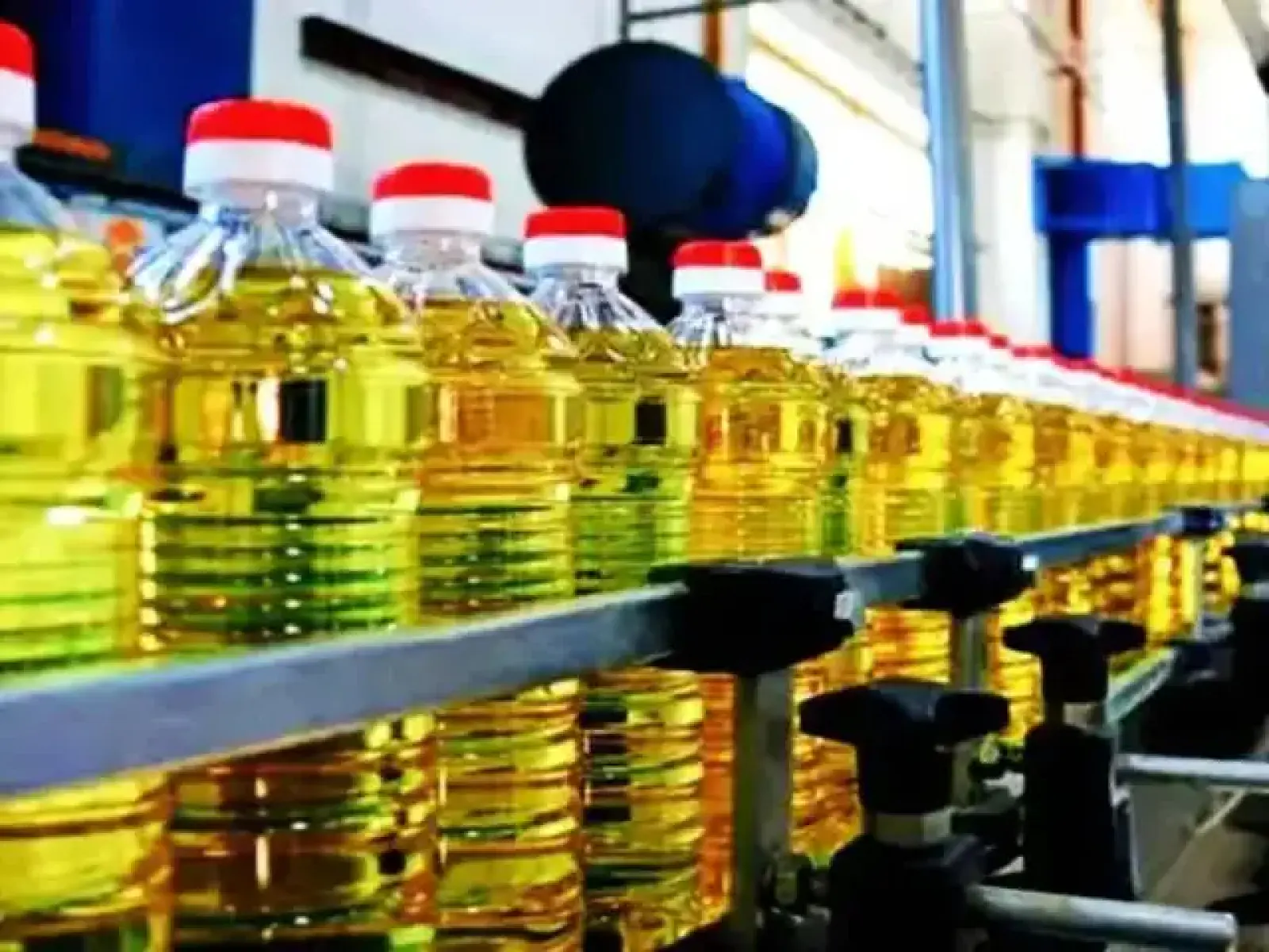 Edible oil becomes cheaper: Government reduces import duty, companies instructed to reduce MRP