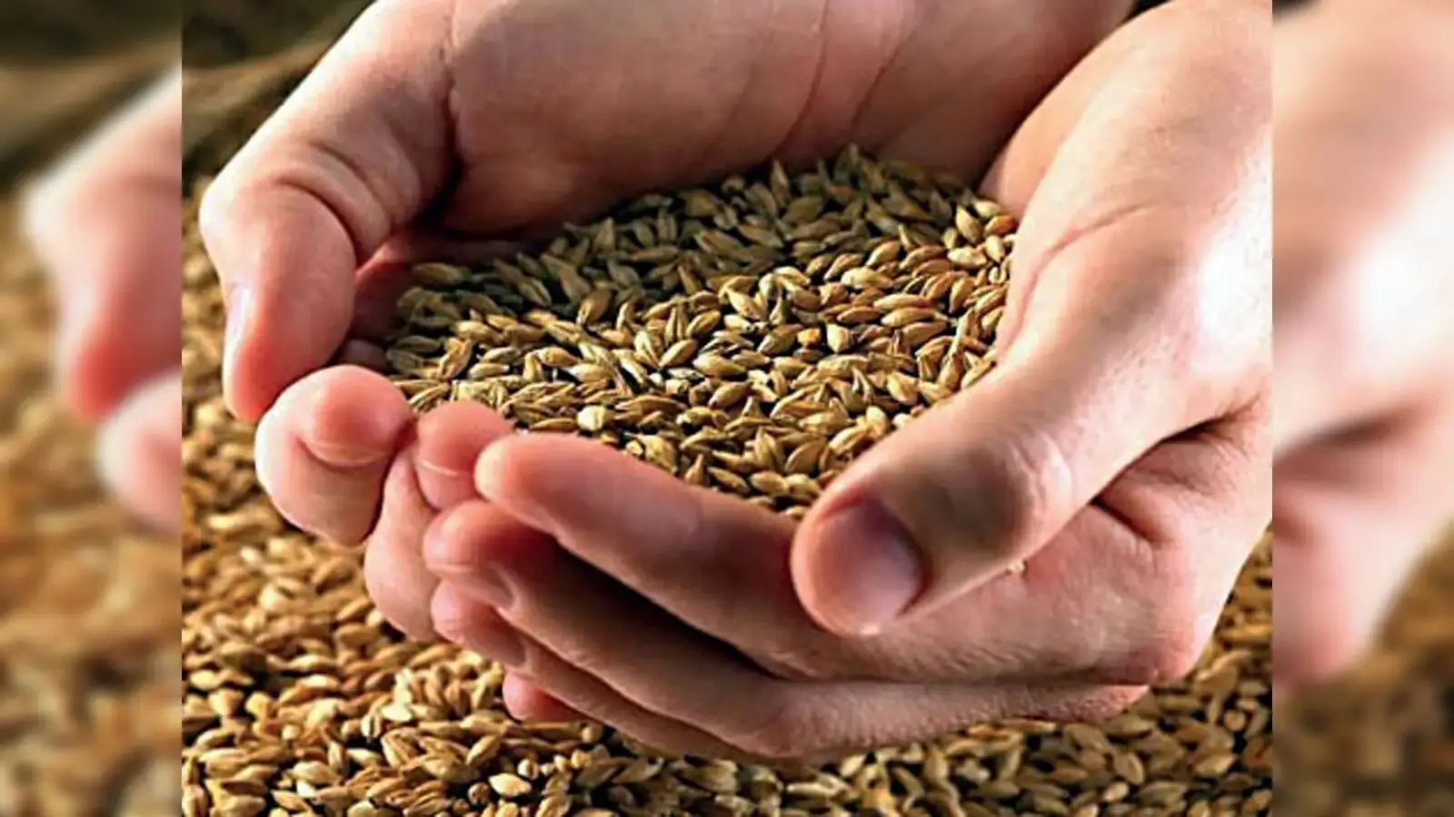 PPP Model: Additional capacity of 20 lakh tonnes achieved in food storage, can be stored for up to three years