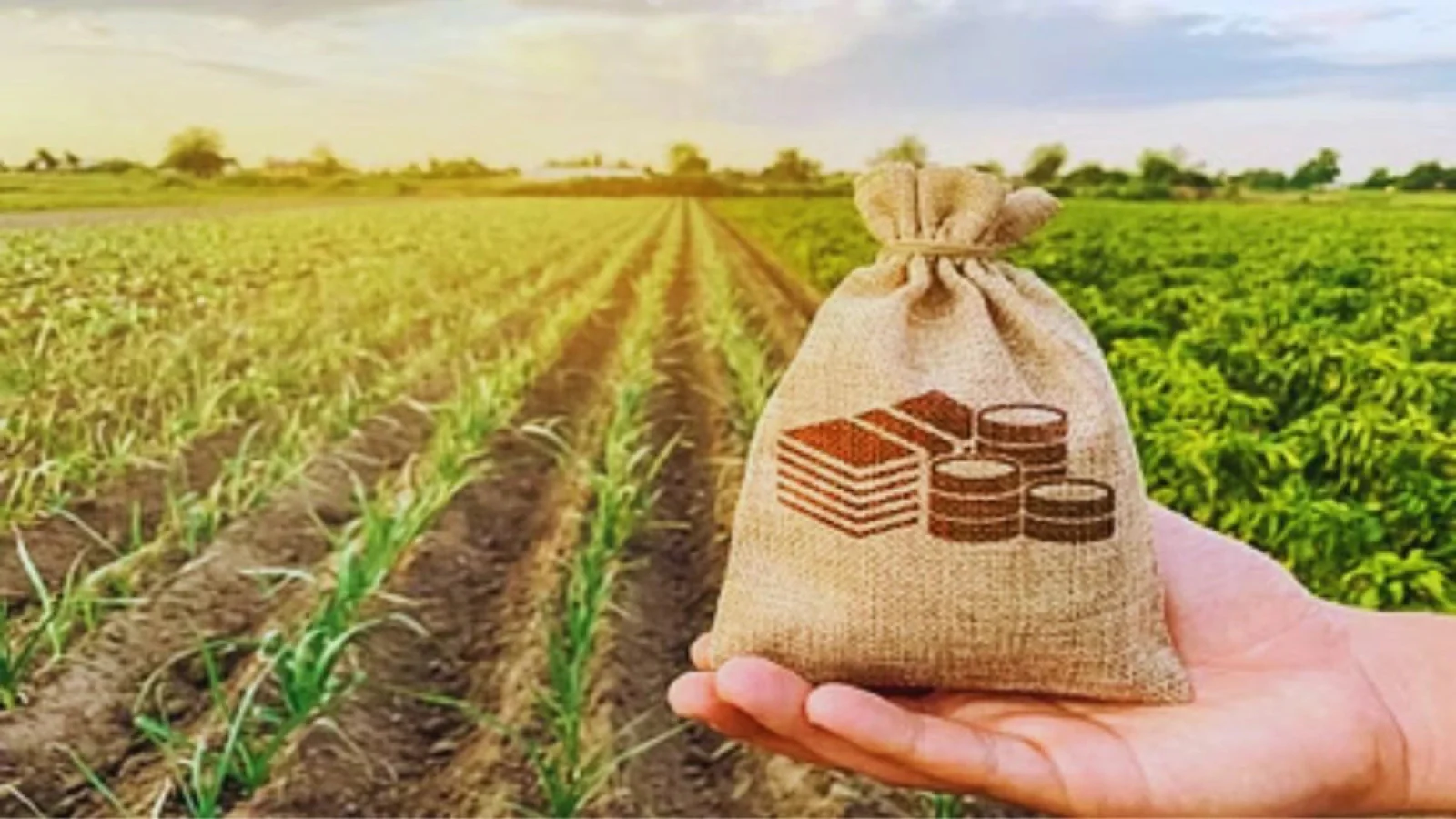 Agricultural sector production increased to Rs 29.49 lakh crore in FY 2024, government data released