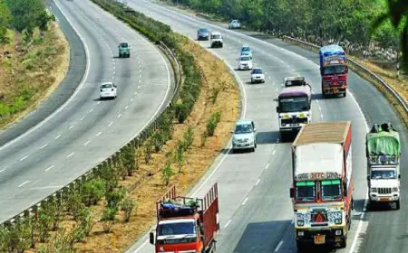 Number of deaths on roads is not decreasing, National Road Traffic Injury Surveillance System will have to be created