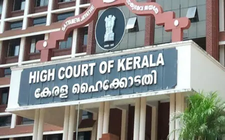 Kerala High Court's historic decision, transgender couple's child gets gender-neutral birth certificate