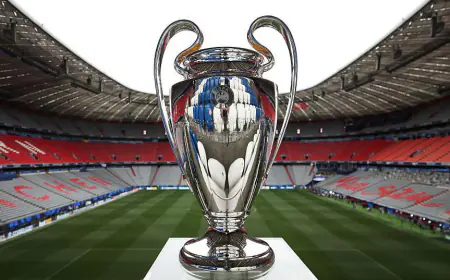 Two football fans hid in the bathroom for 27 hours to watch UEFA Champions League football final game for free