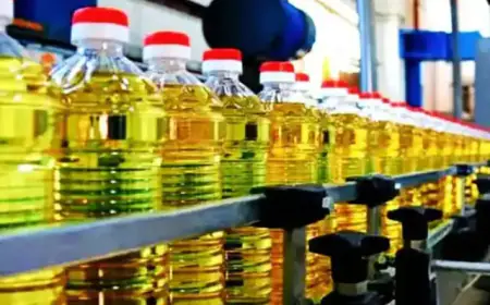 Edible oil becomes cheaper: Government reduces import duty, companies instructed to reduce MRP
