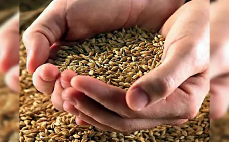 PPP Model: Additional capacity of 20 lakh tonnes achieved in food storage, can be stored for up to three years