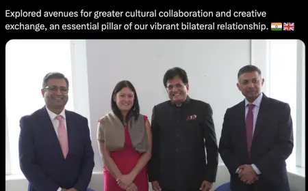 'Focus on making trade agreements with countries with complementary economies rather than competition', Piyush Goyal's statement